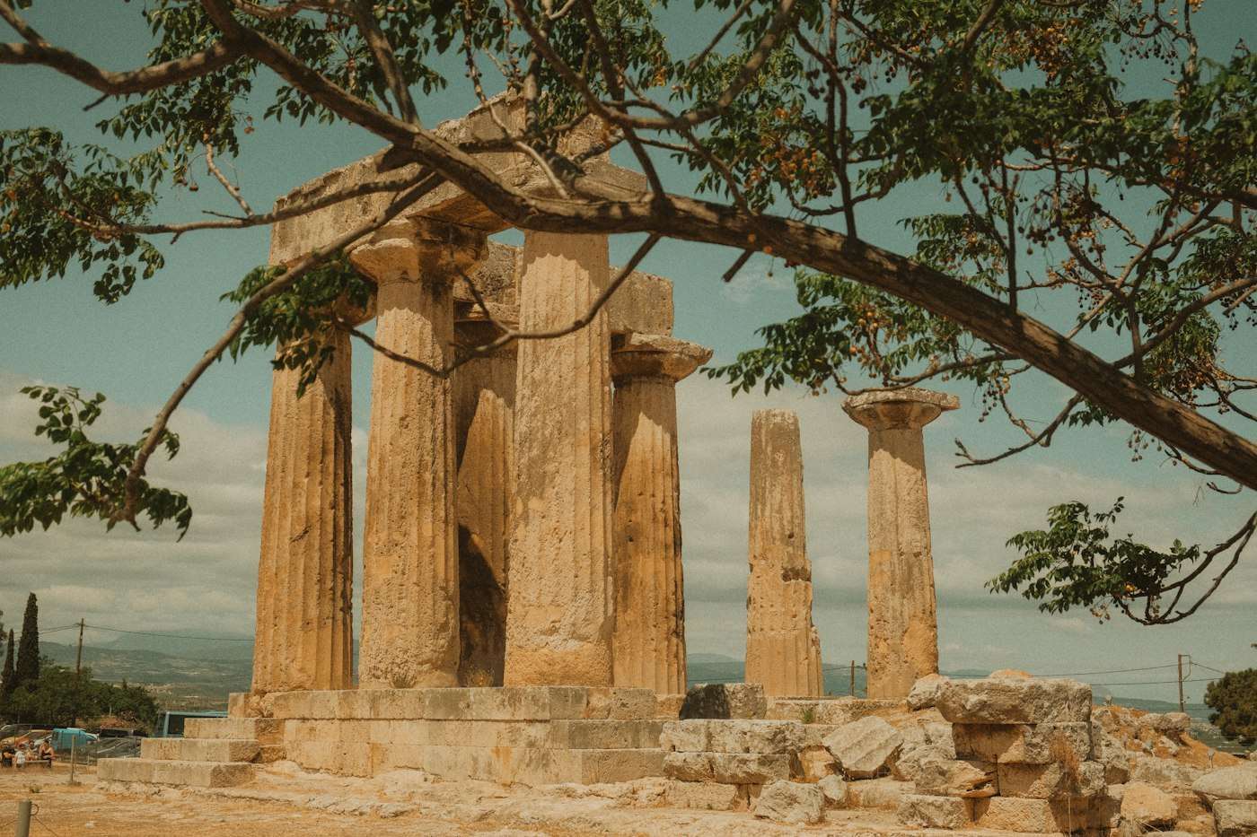 The monolithic columns of the Temple of Apollo at Ancient Corinth